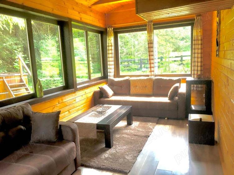 Casa din grinzi pe marginea paraului Borzont - 9