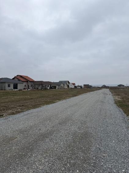 Teren intravilan cihei - 5
