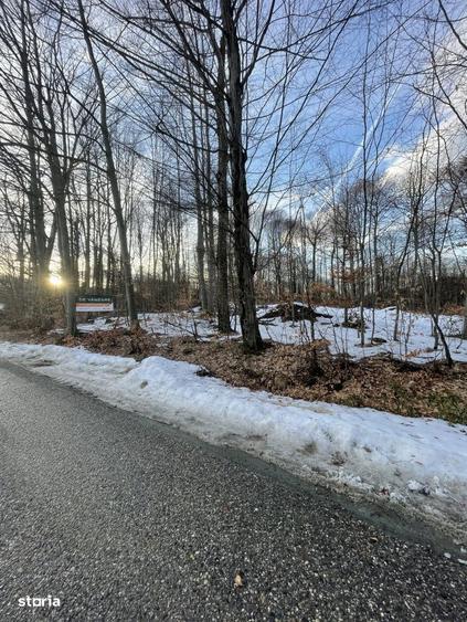 Teren deosebit 30 arii | Zona montana exclusivista | Aproape de centru - 4