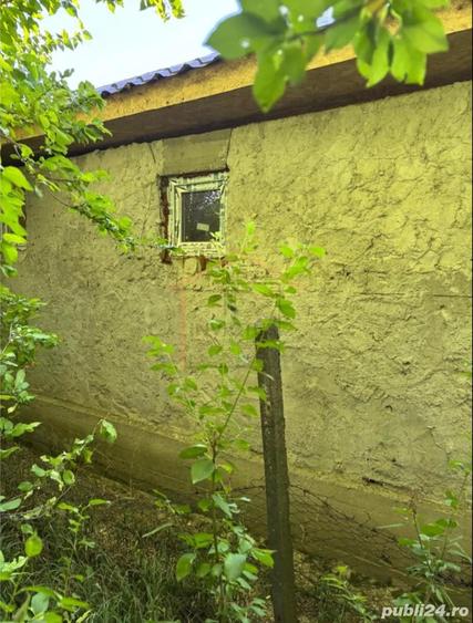 Casa Bogza Sihlea - 9