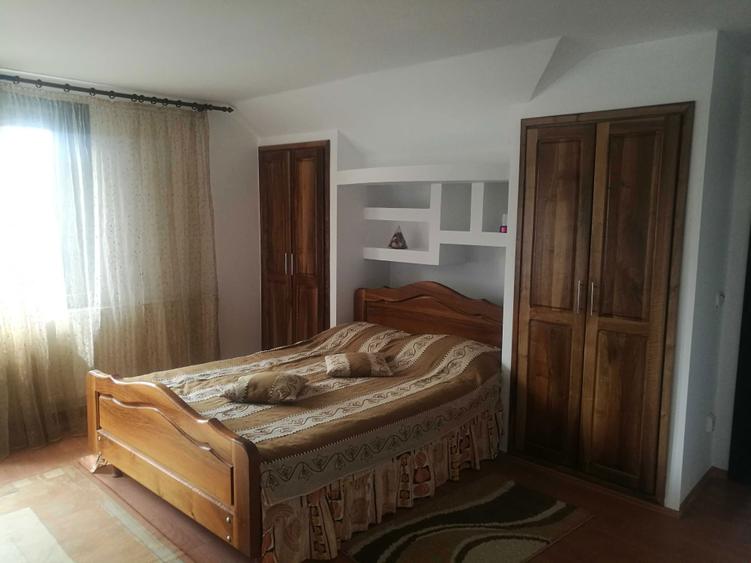 Domeniu privat 6 ha cu lac pastravarie vila cu parter, etaj si demisol - 7