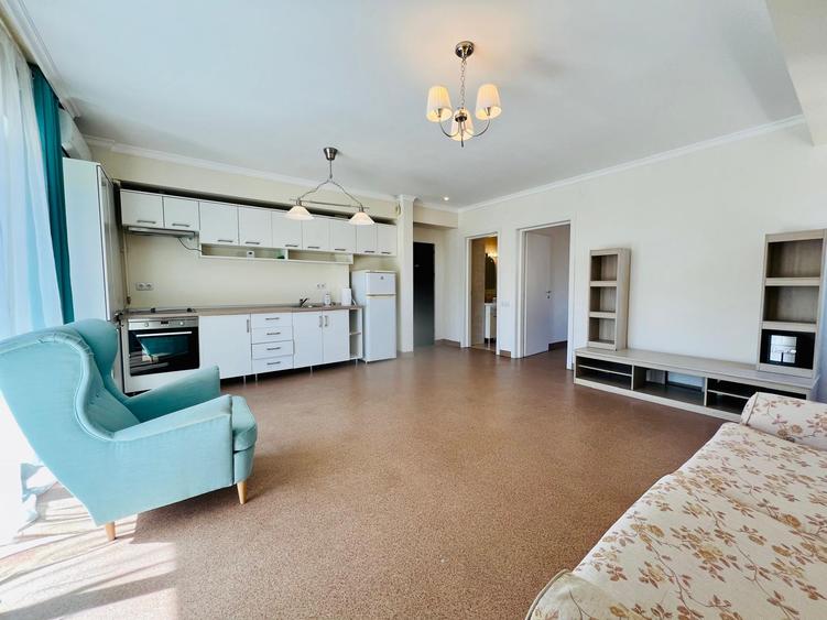 Inchiriere Apartament 2 Camere Iancu Nicolae - 1