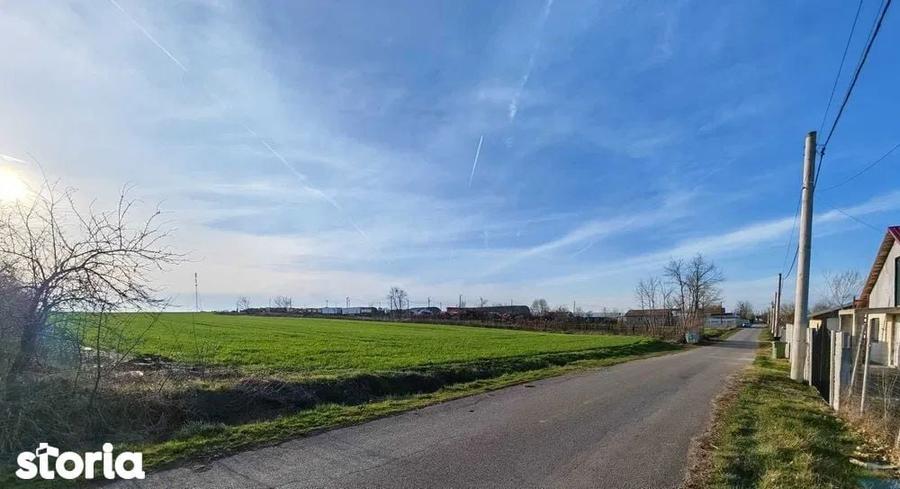 Vand loturi de 527 si 635 mp langa Delta Neajlovului la cel mai bun pr - 3