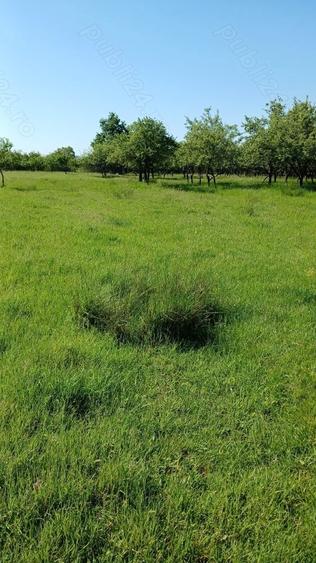 REDUCERE DE PRET! Teren in zona Sub Dura ,40 ari pentru constructii industriale - 2