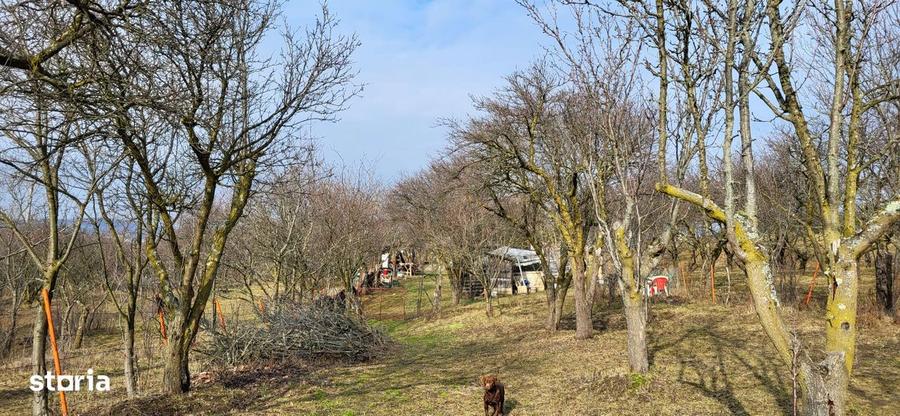 Teren Intravilan 43Ari zona Ortelec-Zalau intre case 4800eur/ar - 4