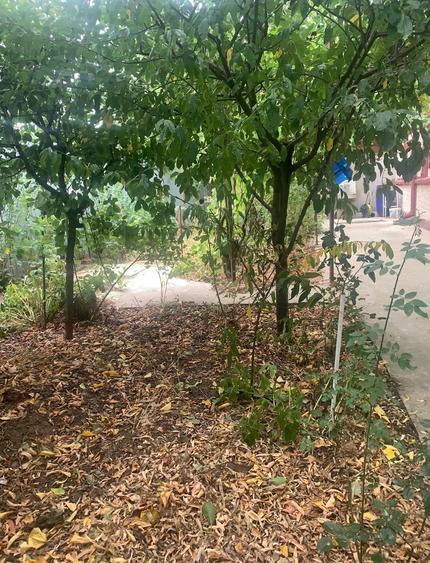 Vanzare  Casa  locuibila 2 camere str Jiului  Voluntari Comision 0% Cumparator - 2