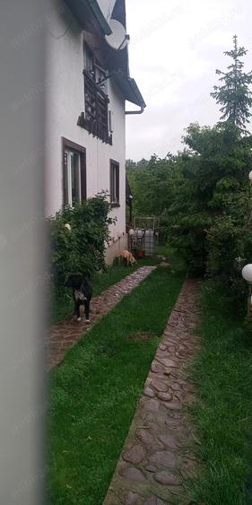 Casa de vanzare Sat Gageni PH - 9