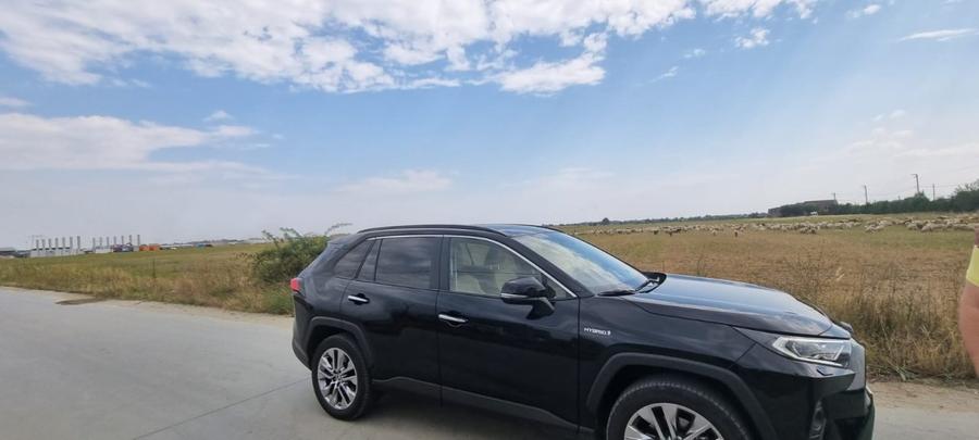 Teren Investitie - Pretabil Industrial, Logistica - 5