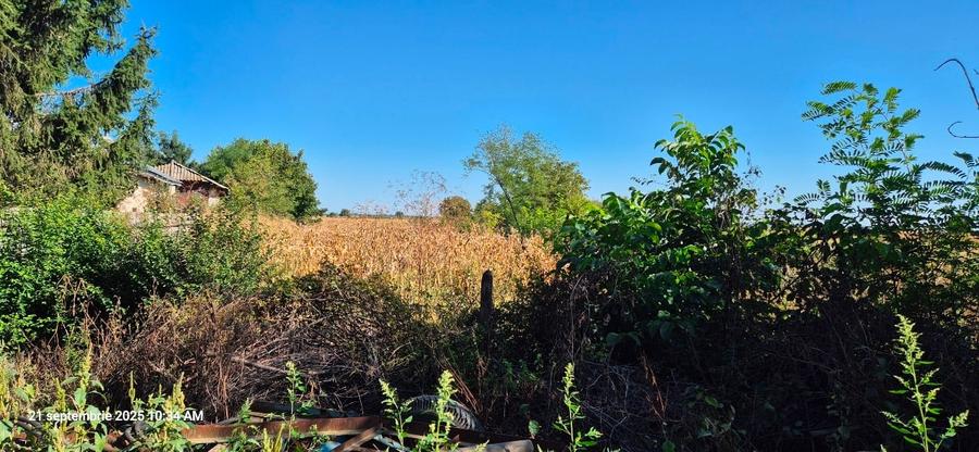 Tren intravilan Odobesti Dâmbovița 2100 mp, 45 min de București - 2