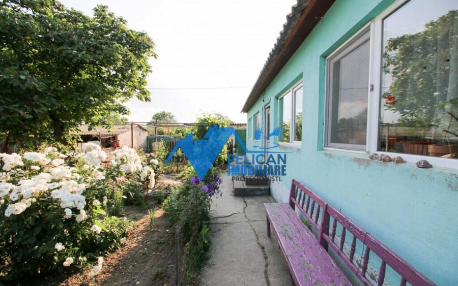 Casa cu teren in Salcioara (Jurilovca) - 2600mp - 1