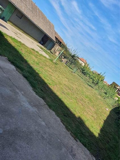 Casa de vanzare in zona rurala, Loc. Teremia Mare - 7