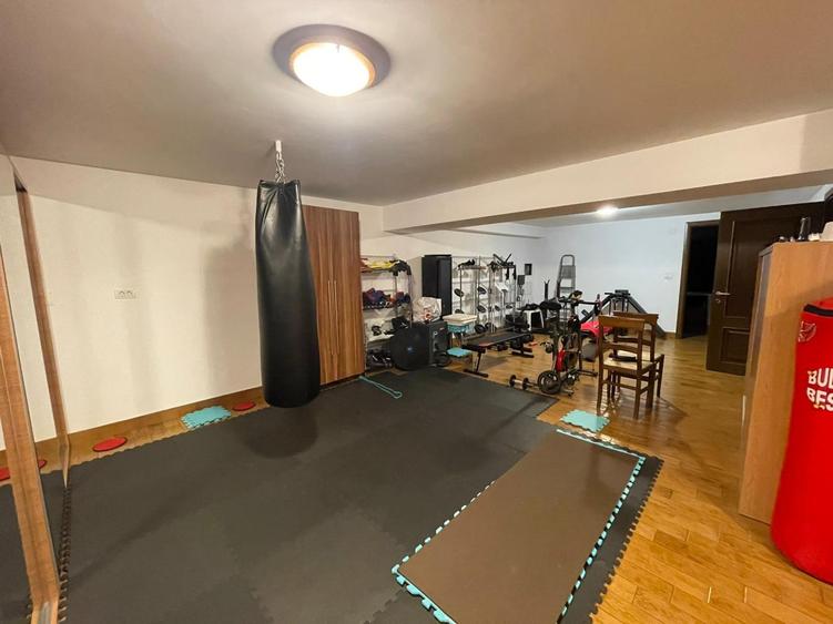 Casa - Damaroaia, Heerastrau, Expozitiei - 39