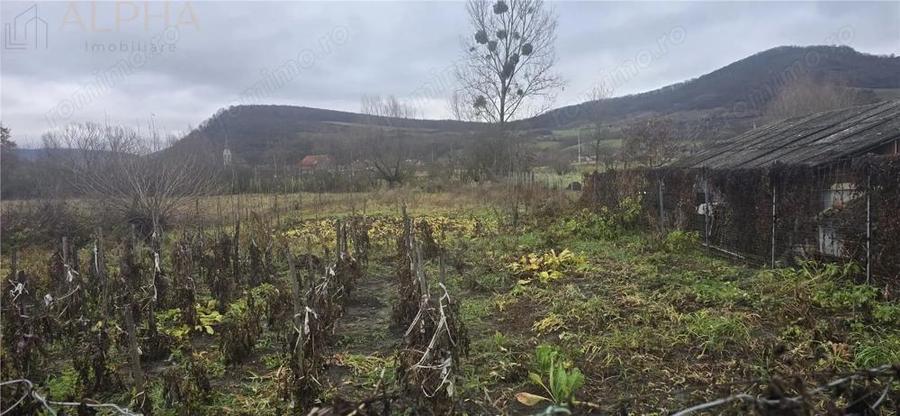 Casa de vanzare in localitatea Chirales, judetul Bistrita-Nasaud - 2