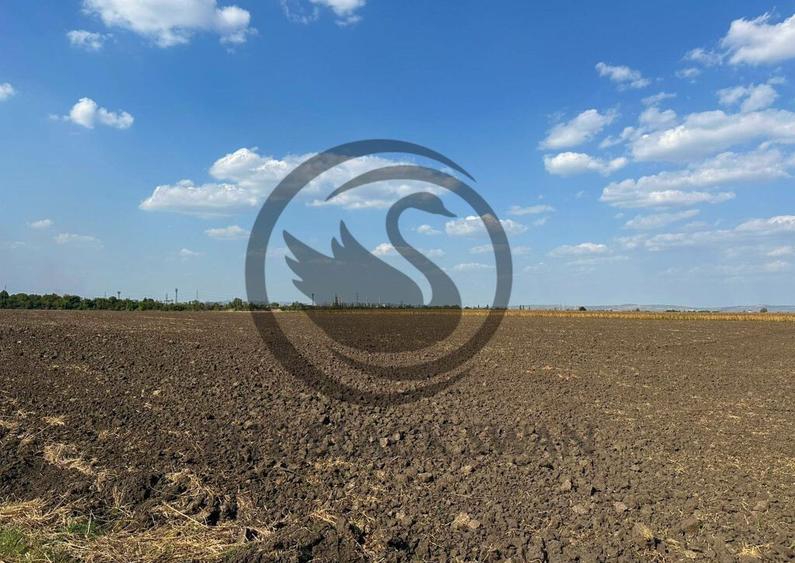 Teren extravilan de vanzare | 9882mp | Berceni - Prahova ... - 8