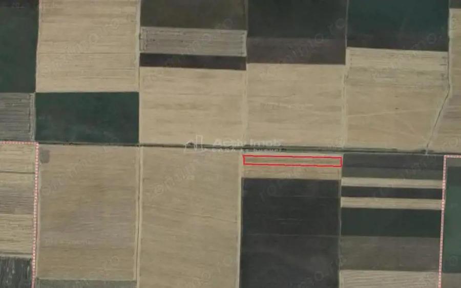 arabil cultivat, canal irigatii, UAT Gurbanesti spre Nana si Curcani - 5