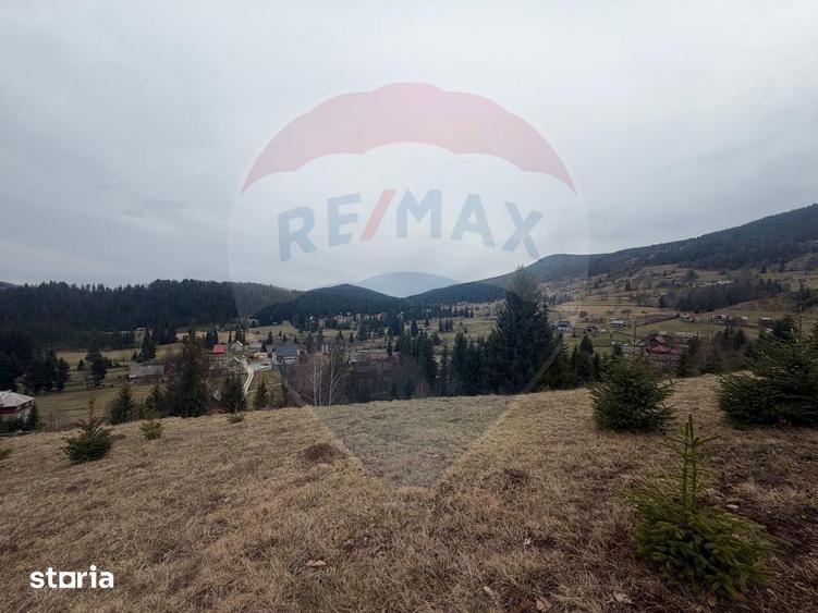 Teren de vanzare in inima Apusenilor 6.500 mp Arie?eni - 15