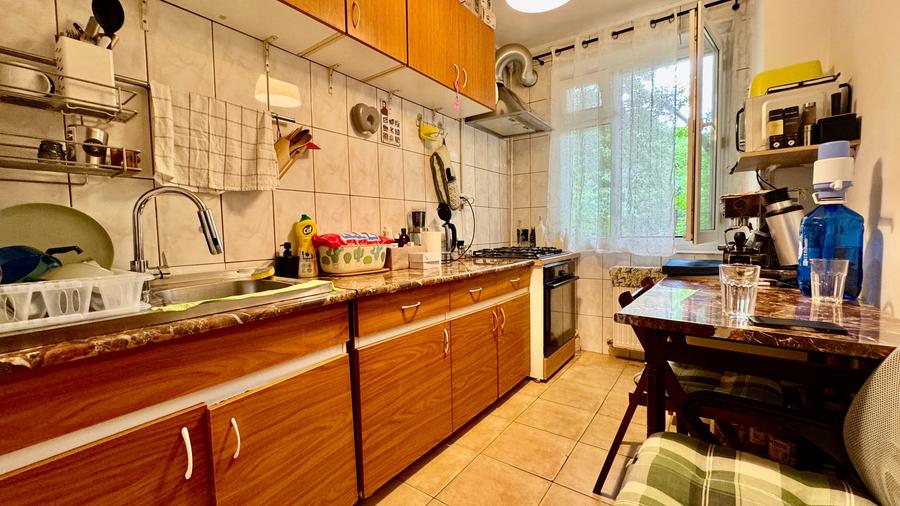 Apartament 2 Camere - 50 MP - Raul Doamnei - Renovat - Mobilat - NOU - 5