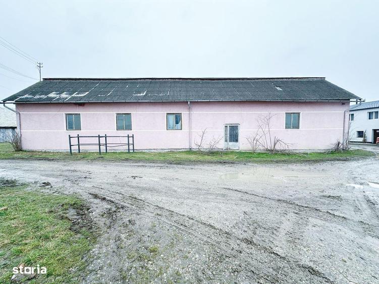 Fabrica DE VANZARE in Tarnaveni - 7