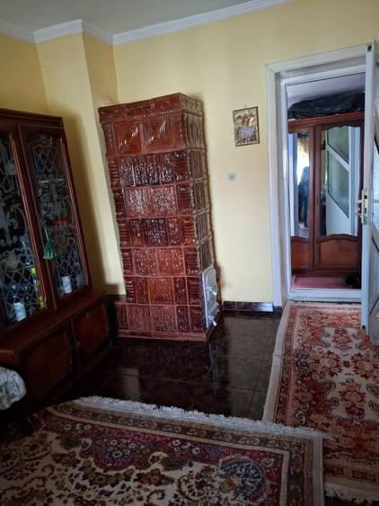 Casă de vânzare în Dunăreni, com. Aliman – Gospodărie completă, mobilată  - 12