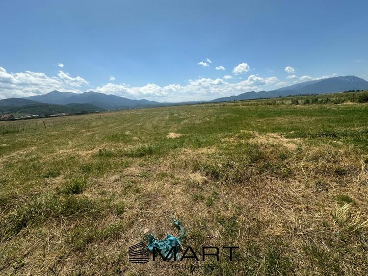 Teren Intravilan Rasnov 7.500 mp - 5