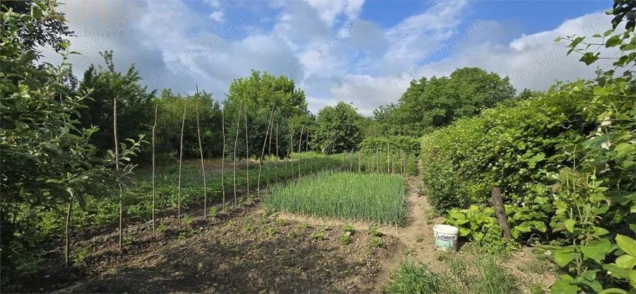 Casa de vanzare Livezile - 6