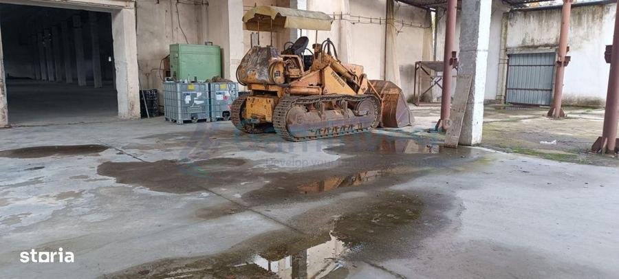 Hala aflata in zona Vadu Crisului, Bihor, Romania,GaminvestA1947 - 5