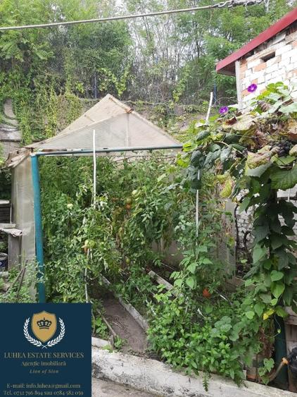 Reșița - Casă cu 3 camere, atelier și seră - 7