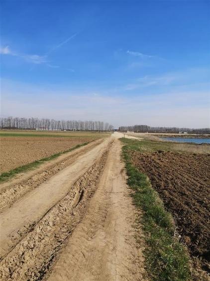 RECO Teren Santion - 4