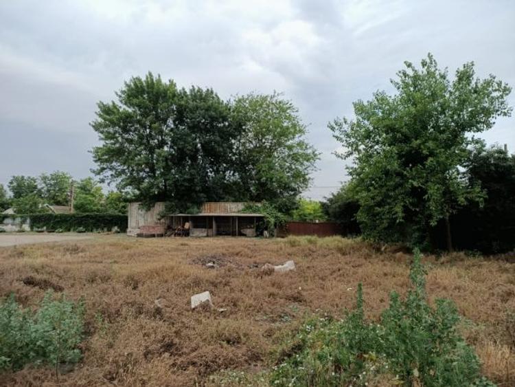 Fabrica de morărit grau porumb  - 6