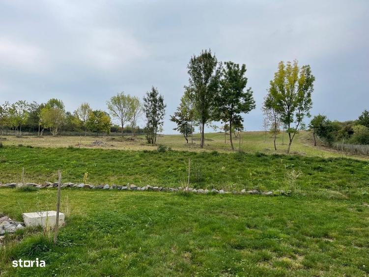 Teren cu balta 11.600 mp,Viile Satu Mare - 3