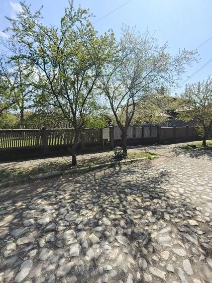 Casa de vanzare in Rosiori de Vede Teleorman (doua case/curte de 1500 - 1