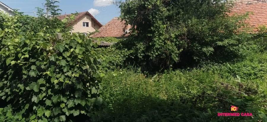 Casa single, teren 900 mp zona Strand - 2