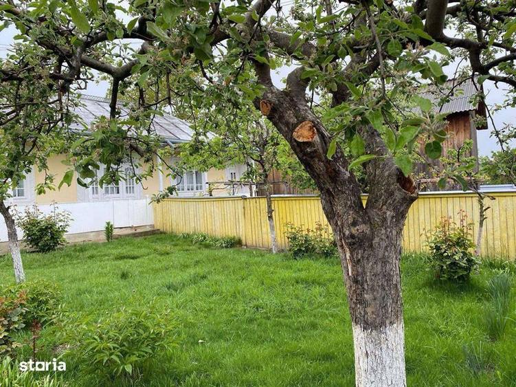 Vand teren ( loturi separate) - 2