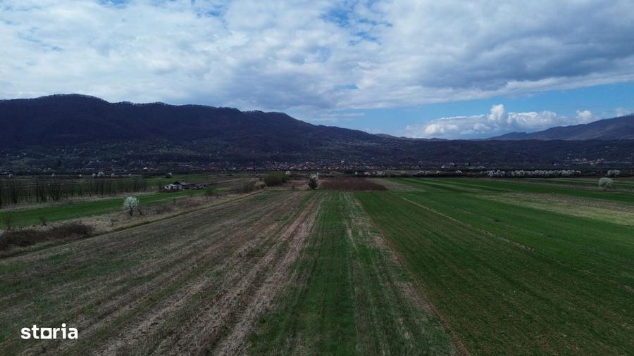 Teren / Jiblea Noua / Calimanesti / - 3