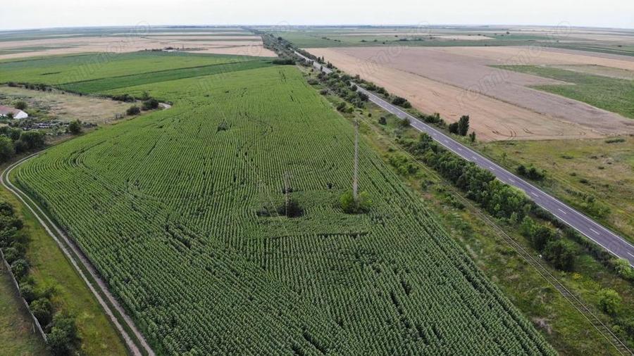 Vand Teren Extravilan Becicherecu Mic(zona industriala) 18.000mp,Utilitati - 2