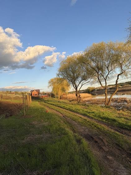 Teren de vanzare Walter Maracineanu Comuna Iepuresti judet Giurgiu - 4