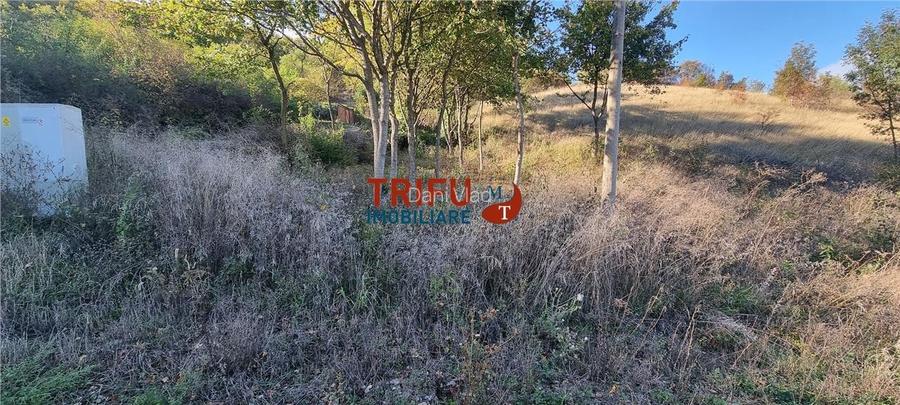 Teren intravilan 600 mp de vanzare zona Alba Micesti Teren intravilan 600 mp de vanzare zona Alba Micesti