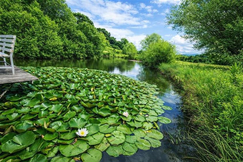 Rafinament in cartier linistit, pe 30.000 mp teren paradis, facilitati Premium - 1