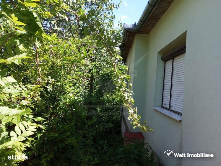 Casa cu teren 3320mp sat Dumbrava Capusu Mare - 2