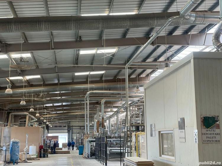 hala de inchiriat - 3