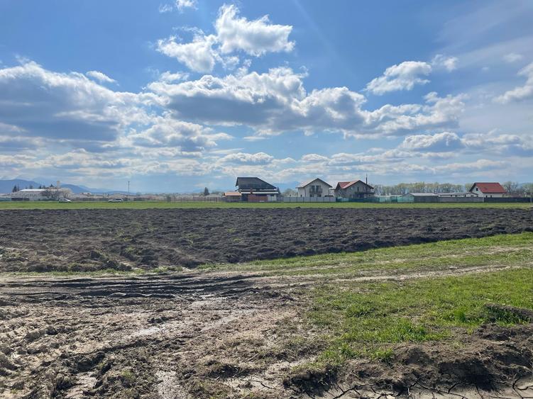 Lot de casa Stupini 480mp! - 4