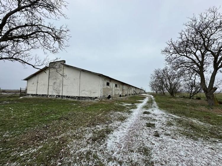 DEPOZIT CEREALE - CEAMURLIA DE JOS/STATIA CFR TVA INCLUS - 13