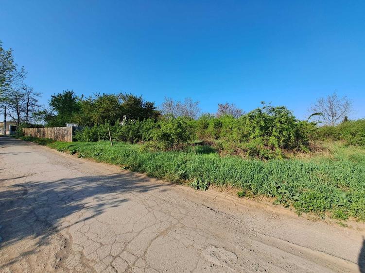 Teren de vanzare 2607 mp Visan, com. Barnova, langa Ville Toscana - 5