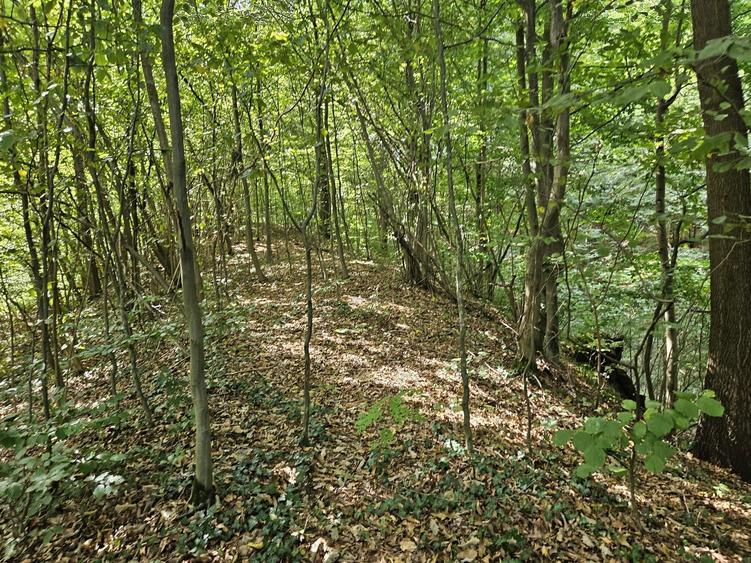 Vand teren Costesti, jud. Hunedoara - 4