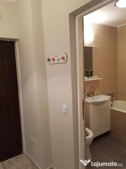 Proprietar inchiriez garsoniera Drumul Taberei - 11
