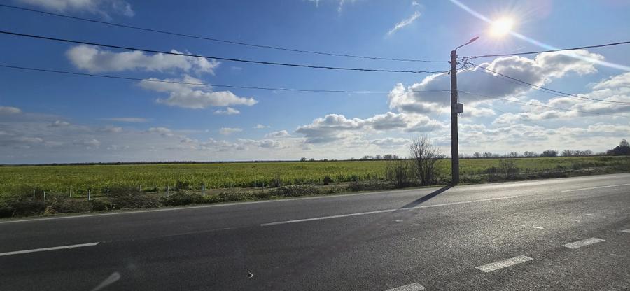 Teren 3,8 ha in Vama Veche pe partea cu marea, la 300 ml de granita - 5