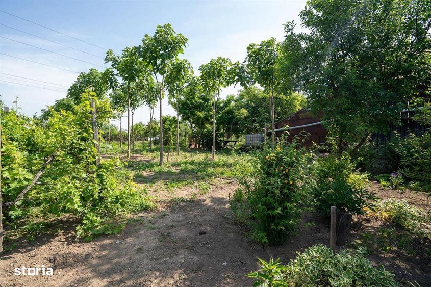 Casa De Vanzare Episcopia 1450 Mp Teren - 4