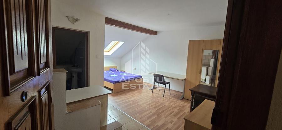 Garsoniera la casa, centrala imobil, zona Aradului, Timisoara - 2
