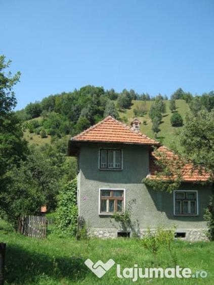 Casa si teren intravilan 6265 mp in zona Bran-Simon - 5