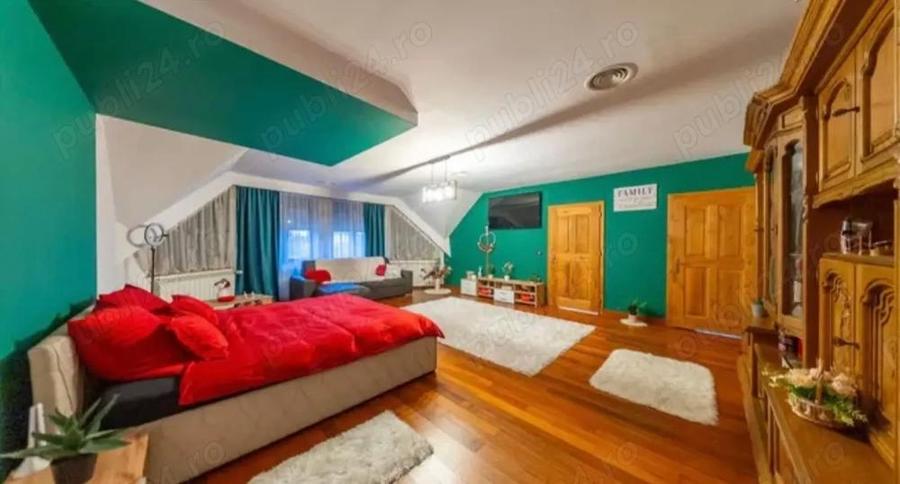 Vand casa vila D+P+M, cu piscina, in Arad, zona Gradiste - 6